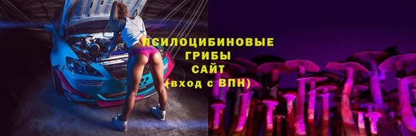 ПСИЛОЦИБИНОВЫЕ ГРИБЫ Бородино