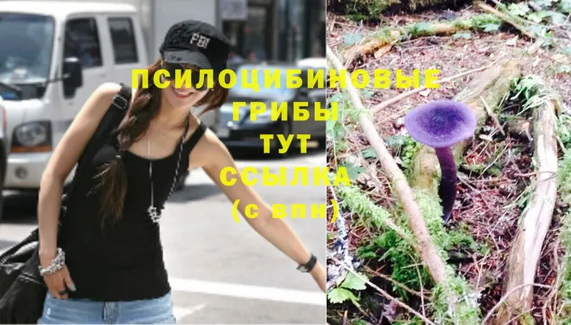 мега онион  Белоозёрский  Галлюциногенные грибы Magic Shrooms 